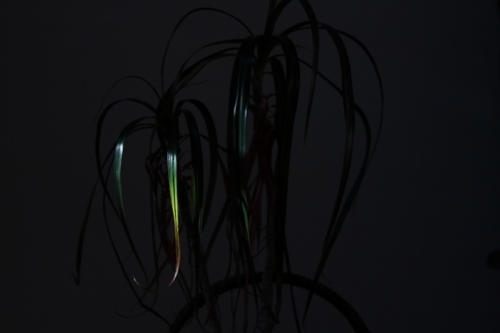 2012 04 13 9999 10